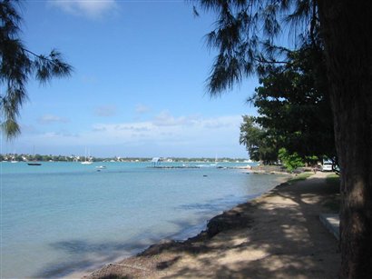 Grand Bay 02-04.jpg